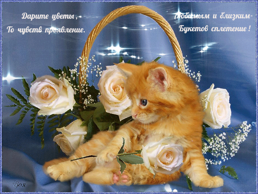 скачать открытки для друзей, приятные слова для друзей, спасибо друзья, 