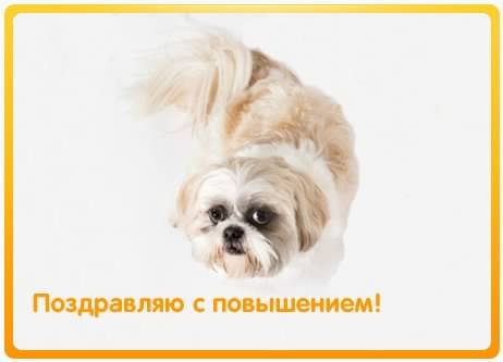 с повышением