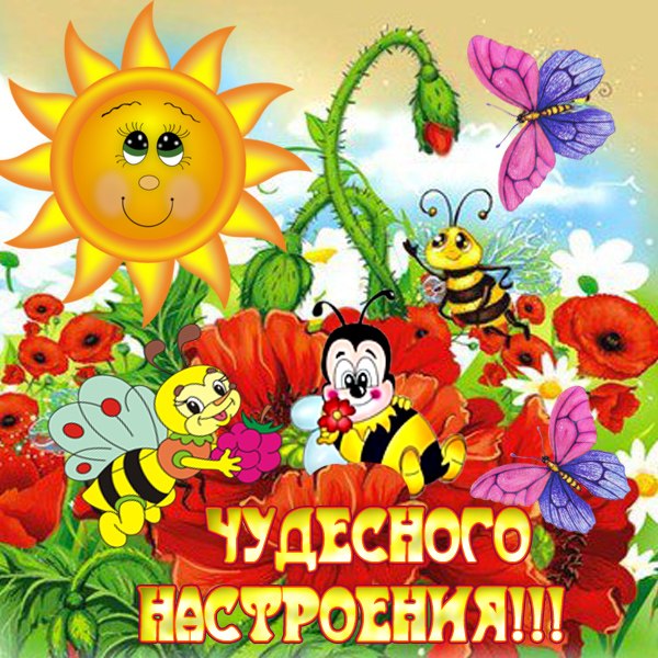 Без названия