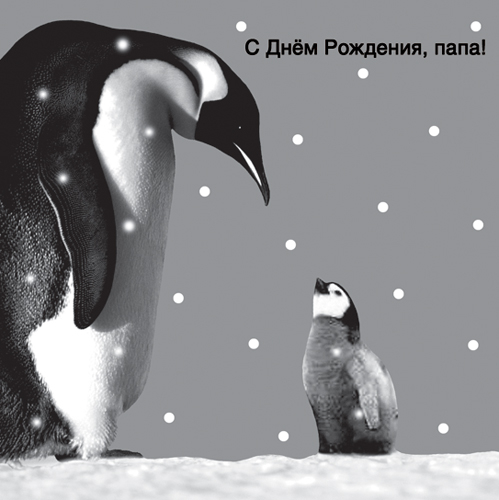 папа, с днем рождения.