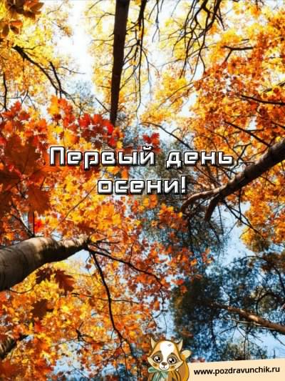 С началом осени