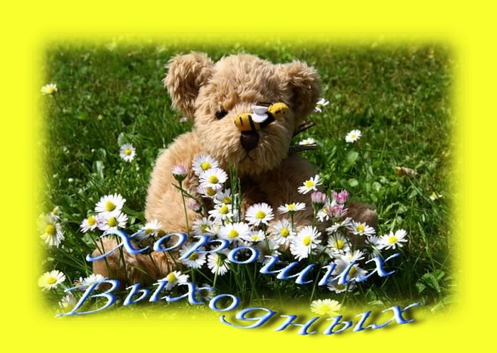 Приятных выходных