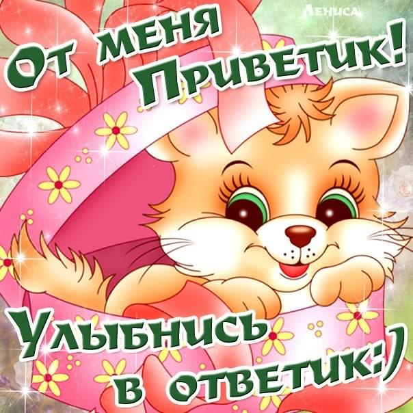 открытки привет, как дела. как настроение. пожелание хорошего дня