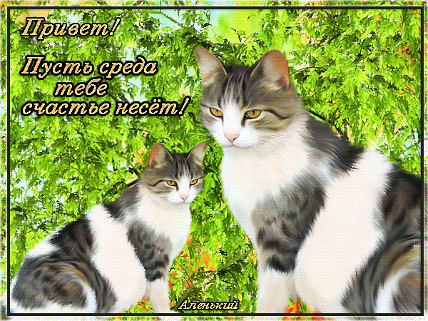 С веселой средой