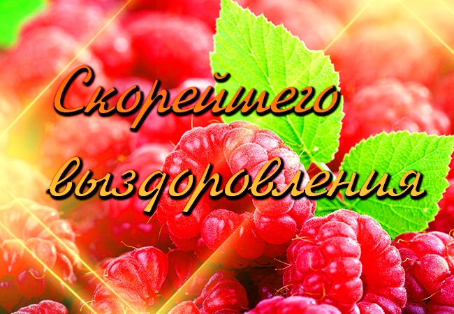 выздоравливай. желаю скорейшего выздоровления. не болей