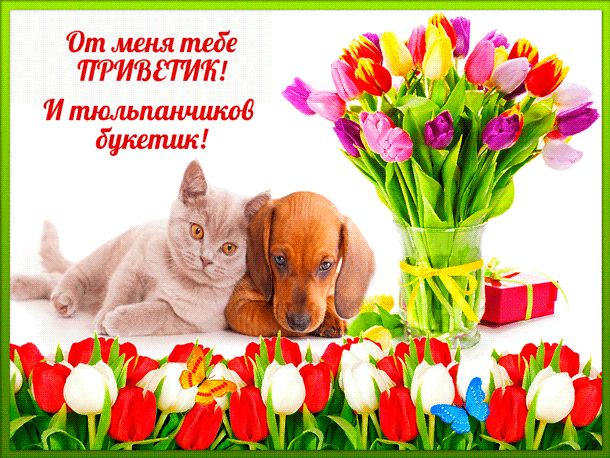 открытки привет, как дела. как настроение. пожелание хорошего дня