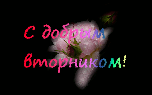 вторник. с добрым вторником.