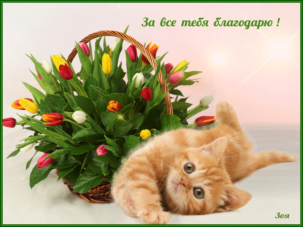 открытки спасибо, thank you, merci, благодарю тебя, большое спасибо