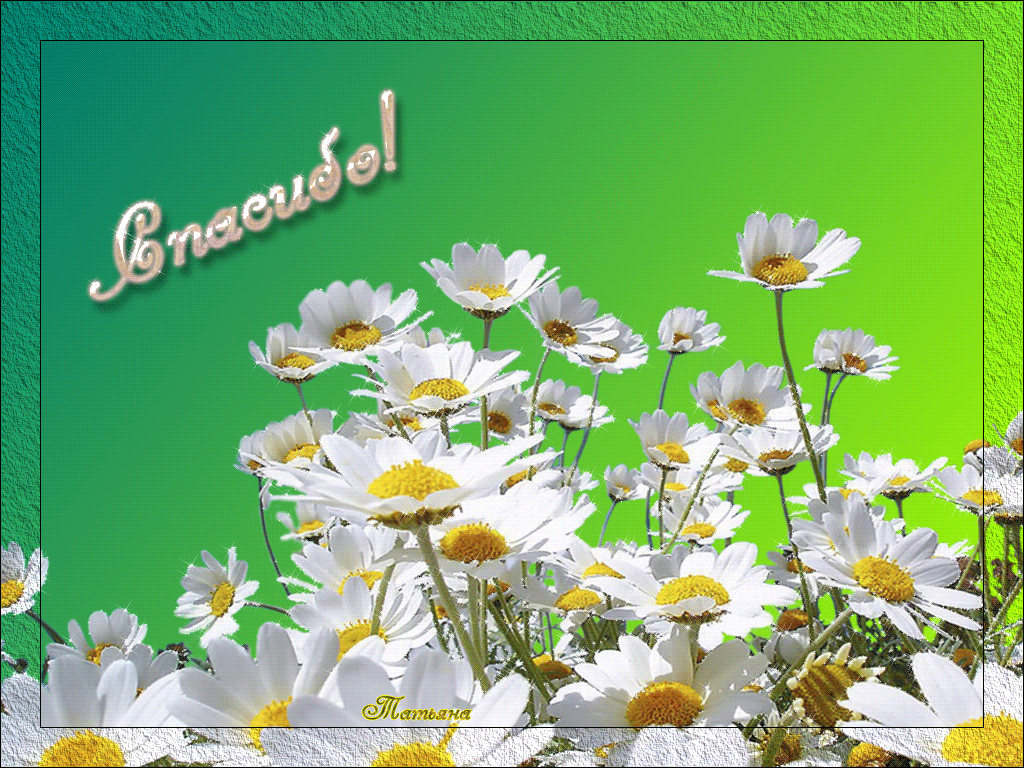 открытки спасибо, thank you, merci, благодарю тебя, большое спасибо