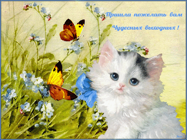 Приятных выходных