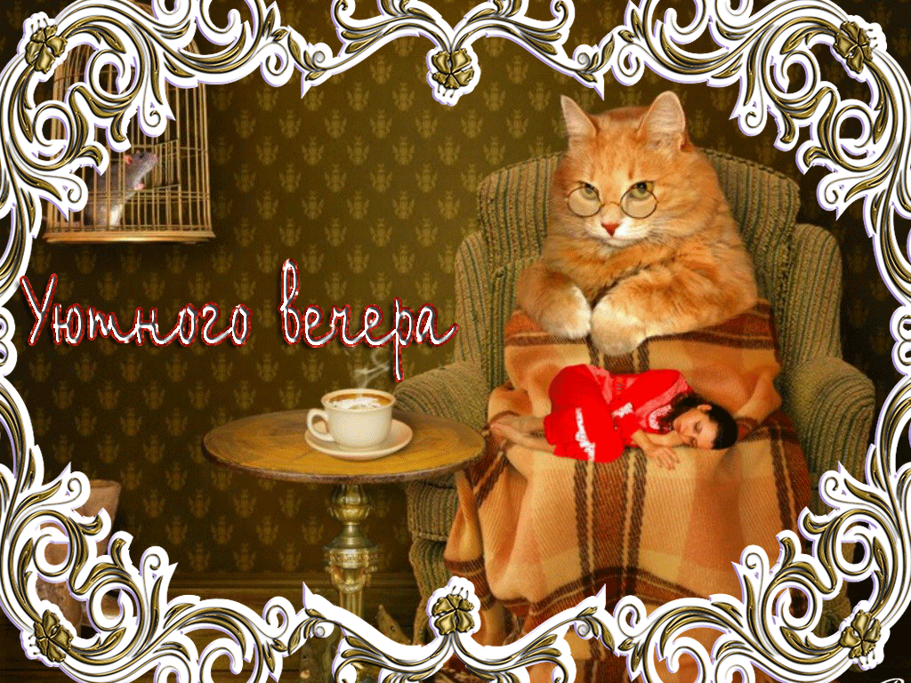 добрый вечер. приятного вечера. доброго вам вечера. хорошего вечера. приятног...