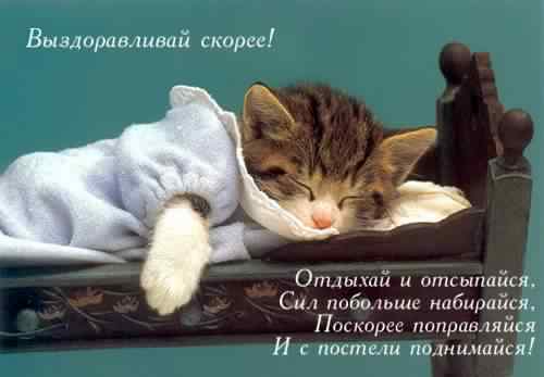 выздоравливай. желаю скорейшего выздоровления. не болей