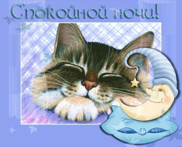 спокойной ночи. открытки с пожеланием спокойной ночи. приятных снов. сладких ...