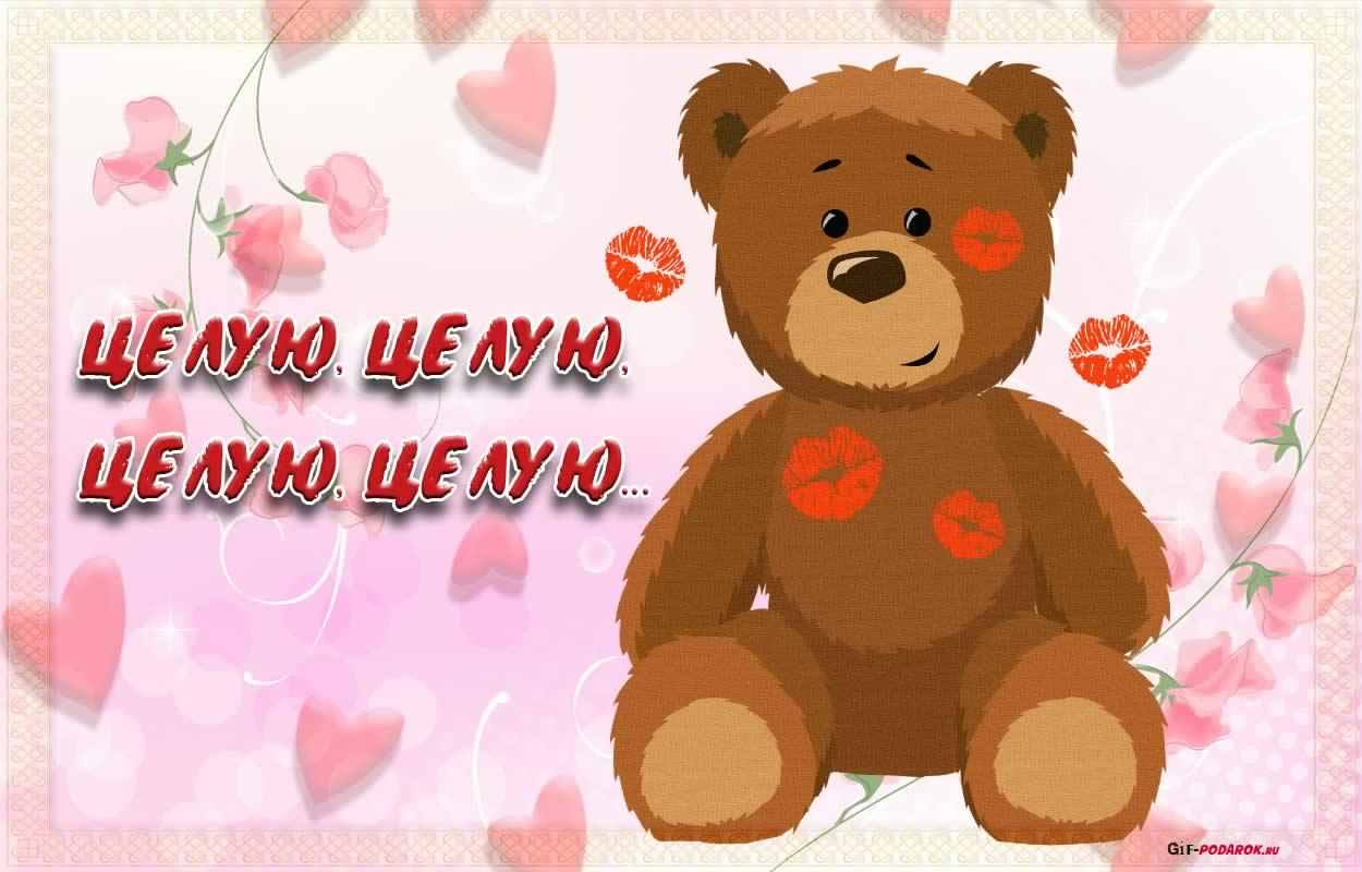 открытки целую, целую много раз