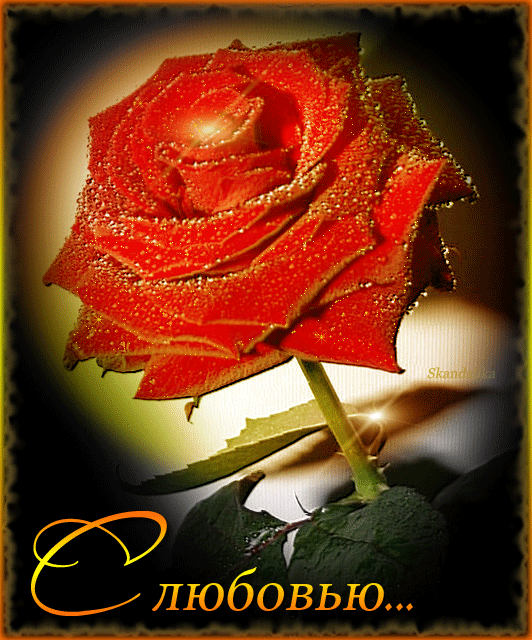 открытки с любовью, с любовью для тебя,