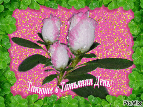 Татьянин день. с днем Татьяны. открытки ко дню Татьяны. поздравления на день ...