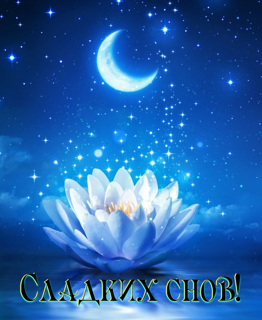 спокойной ночи. открытки с пожеланием спокойной ночи. приятных снов. сладких ...