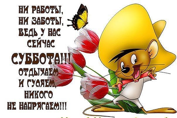 Хорошего субботнего дня