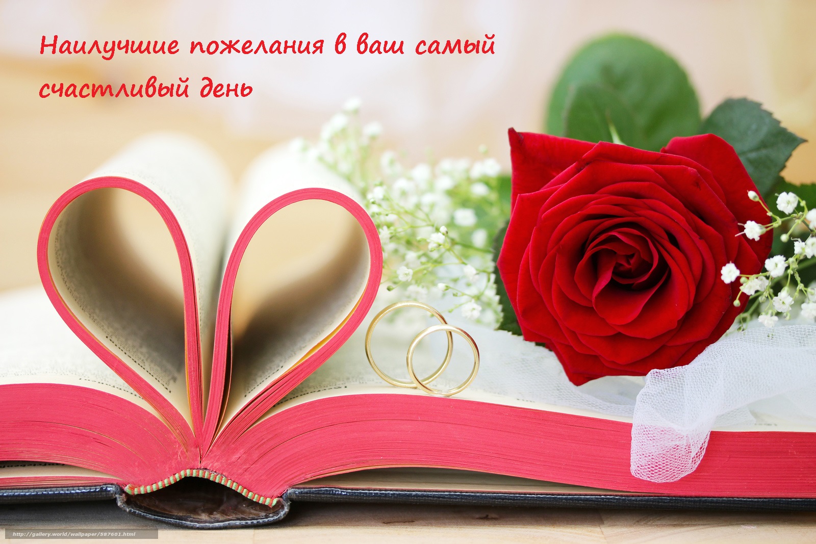 поздравляю с бракосочетанием. счастливой семейной жизни==description=открытки...