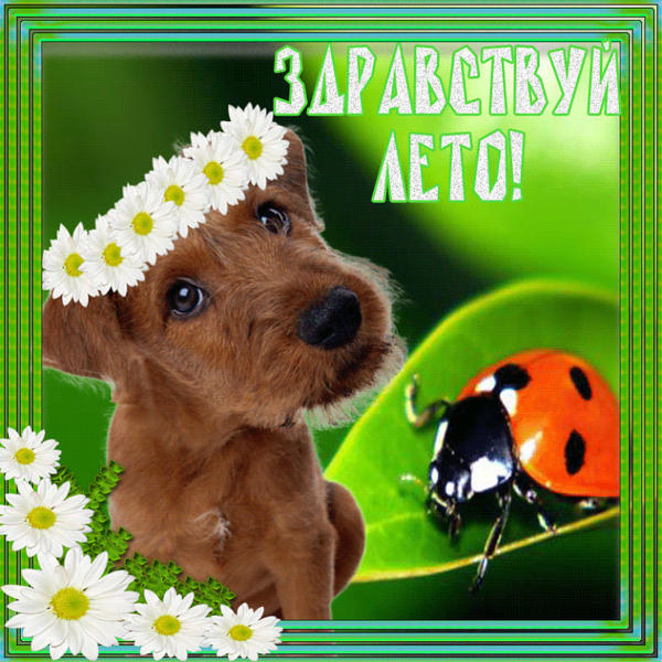 Открытки про лето