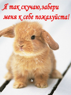 открытки я скучаю. мне скучно без тебя. я соскучилась по тебе . i miss you.