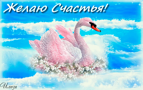 счастья. открытки с пожеланием счастья