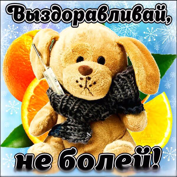 выздоравливай. желаю скорейшего выздоровления. не болей
