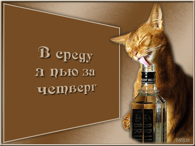 С веселой средой