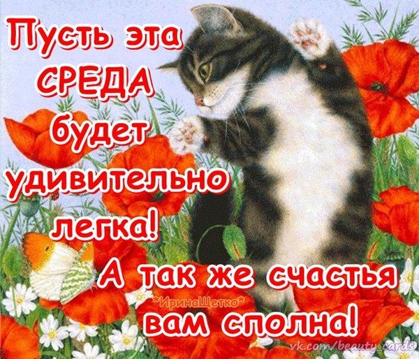 С веселой средой