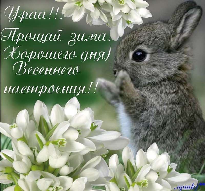 Весенние открытки