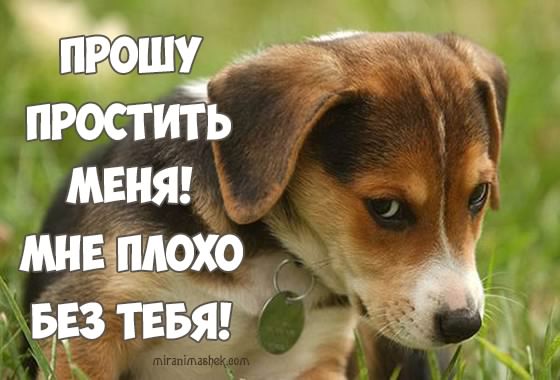 прости. прости меня. открытки прости. прости пожалуйста. прости меня пожалуйс...