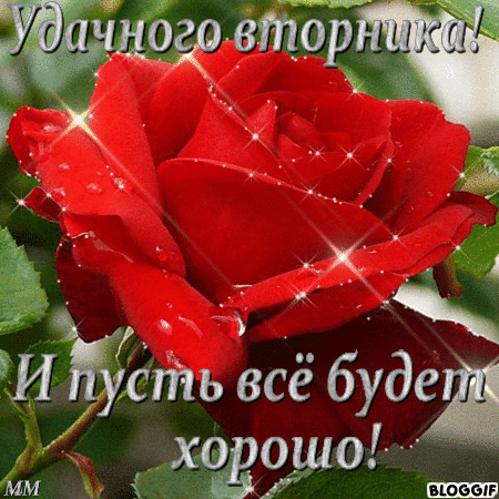 вторник. с добрым вторником.