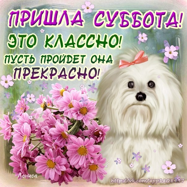 Хорошего субботнего дня