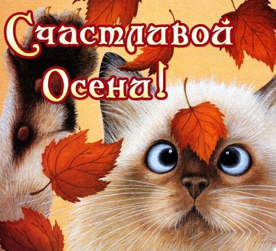 С началом осени