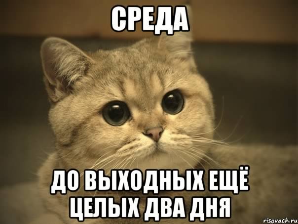 С веселой средой