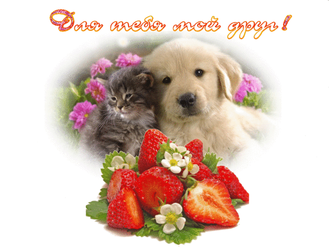 скачать открытки для друзей, приятные слова для друзей, спасибо друзья, 