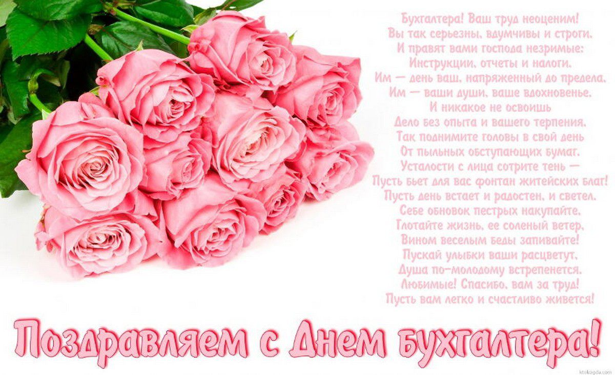 день бухгалтера. с днем бухгалтера. поздравляю с праздником, бухгалтера, позд...