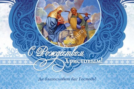 Без названия