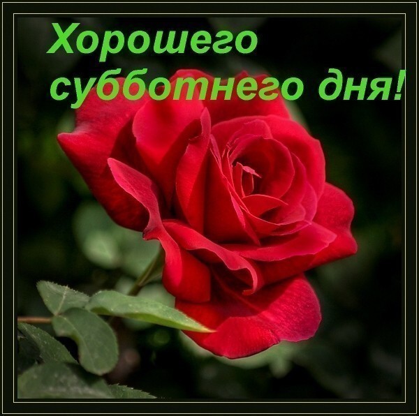 Хорошего субботнего дня