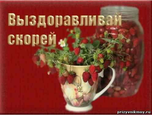 выздоравливай. желаю скорейшего выздоровления. не болей