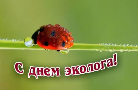 день эколога. открытки к празднику