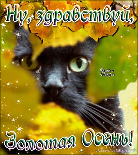 С началом осени