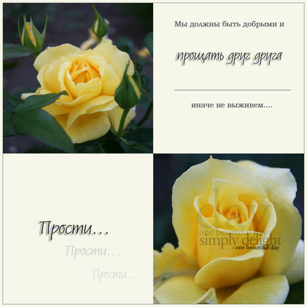 прости. прости меня. открытки прости. прости пожалуйста. прости меня пожалуйс...