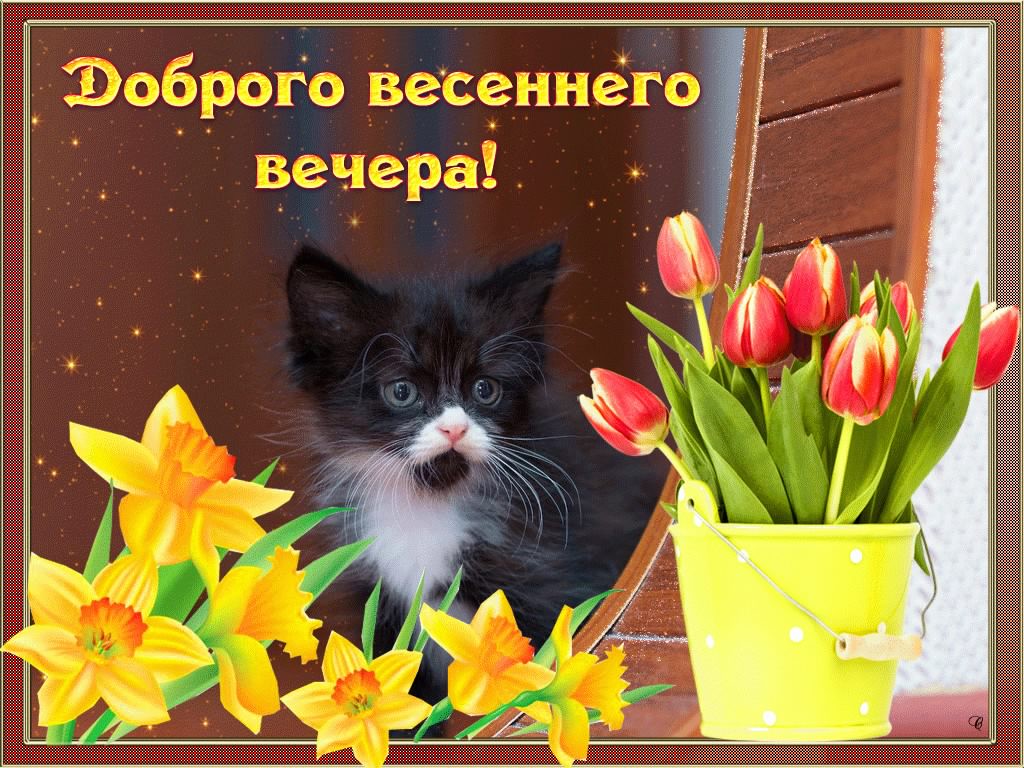 добрый вечер. приятного вечера. доброго вам вечера. хорошего вечера. приятног...