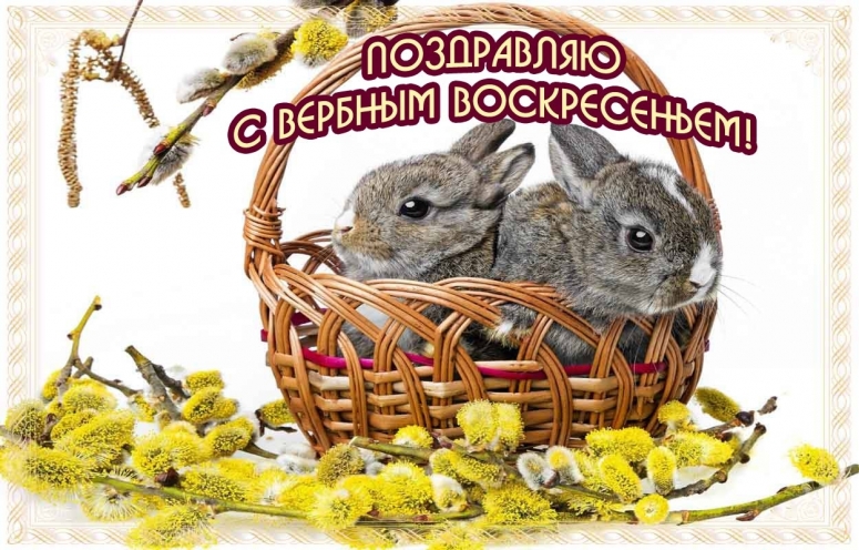 открытки на вербное воскресенье. пожелания к празднику вербное воскресенье