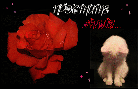 прости. прости меня. открытки прости. прости пожалуйста. прости меня пожалуйс...