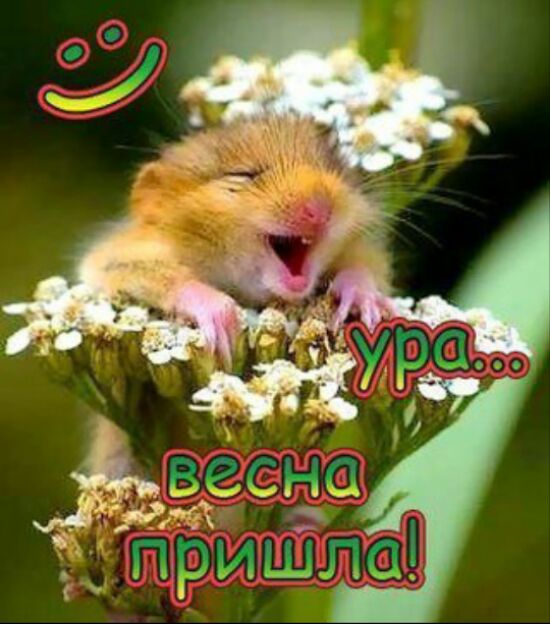 Весенние открытки