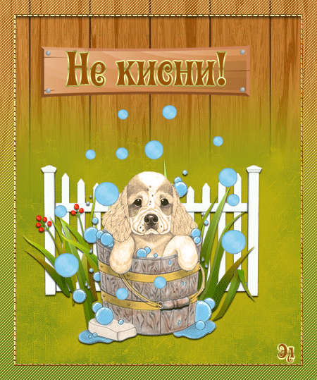 не грусти. не скучай. все будет хорошо. улыбнись. все пройдет