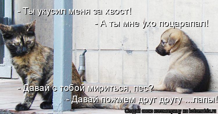 Давай мириться