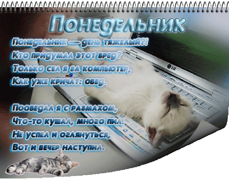 понедельник. открытки к понедельнику. опять понедельник. легкого